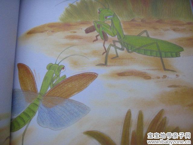 《法布尔昆虫记》系列《螳螂》的阅读心得